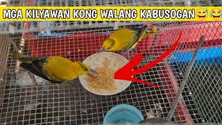 Kilyawan | MGA KILYAWAN KONG HINDI MABUSOG BUSOG😂😓