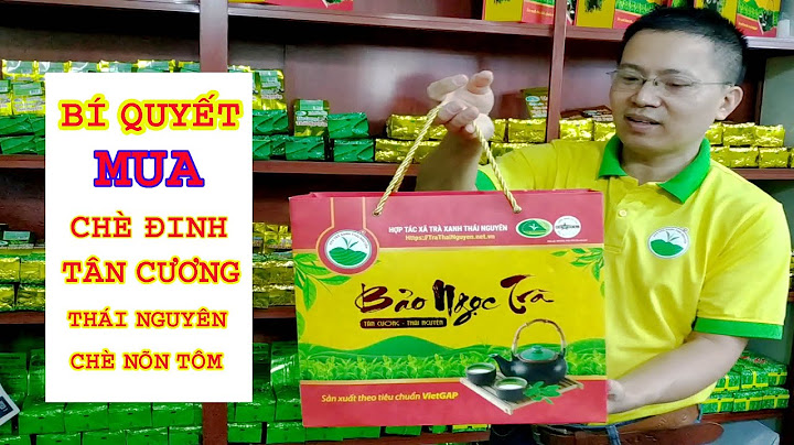 Trà Xanh Tân Cương Thái Nguyên - Hương vị độc đáo từ vùng đất đặc biệt