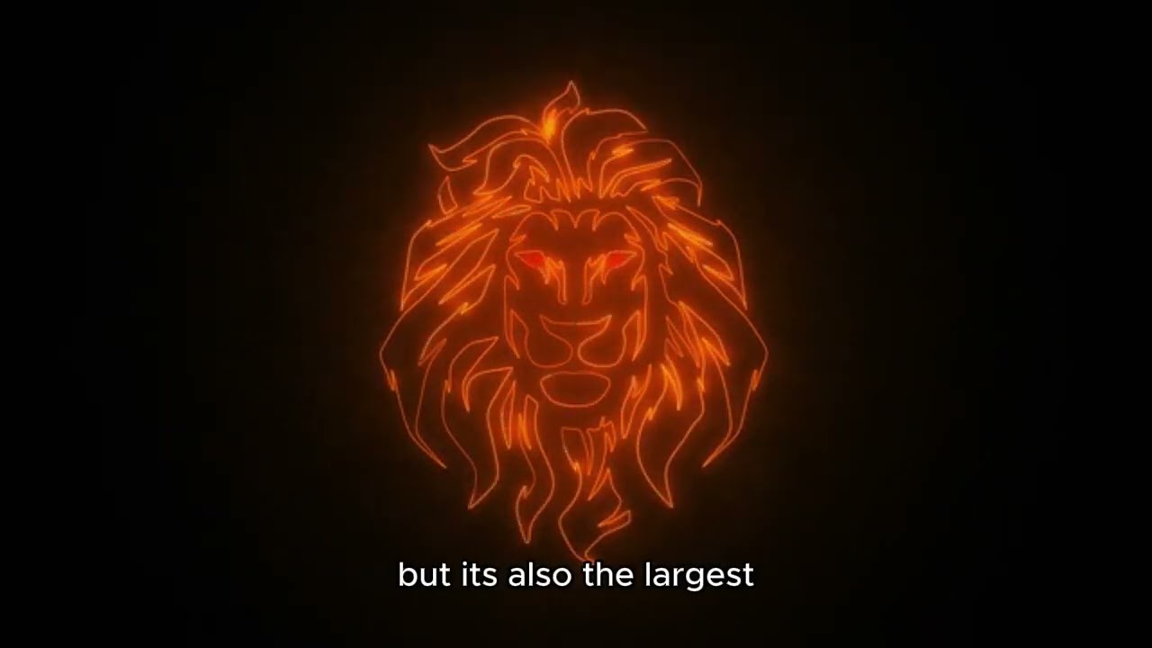 South Africa National Parks