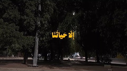 تلاوة خاشعة تريح القلب والعقل !! بصوت القارئ ياسر الدوسري || حالات واتس اب دينية Quran status