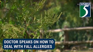 Doctor speaks on how to deal with fall allergies