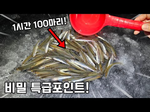 넣으면 <strong>대물</strong> 빙어만 나오네요..ㄷㄷ