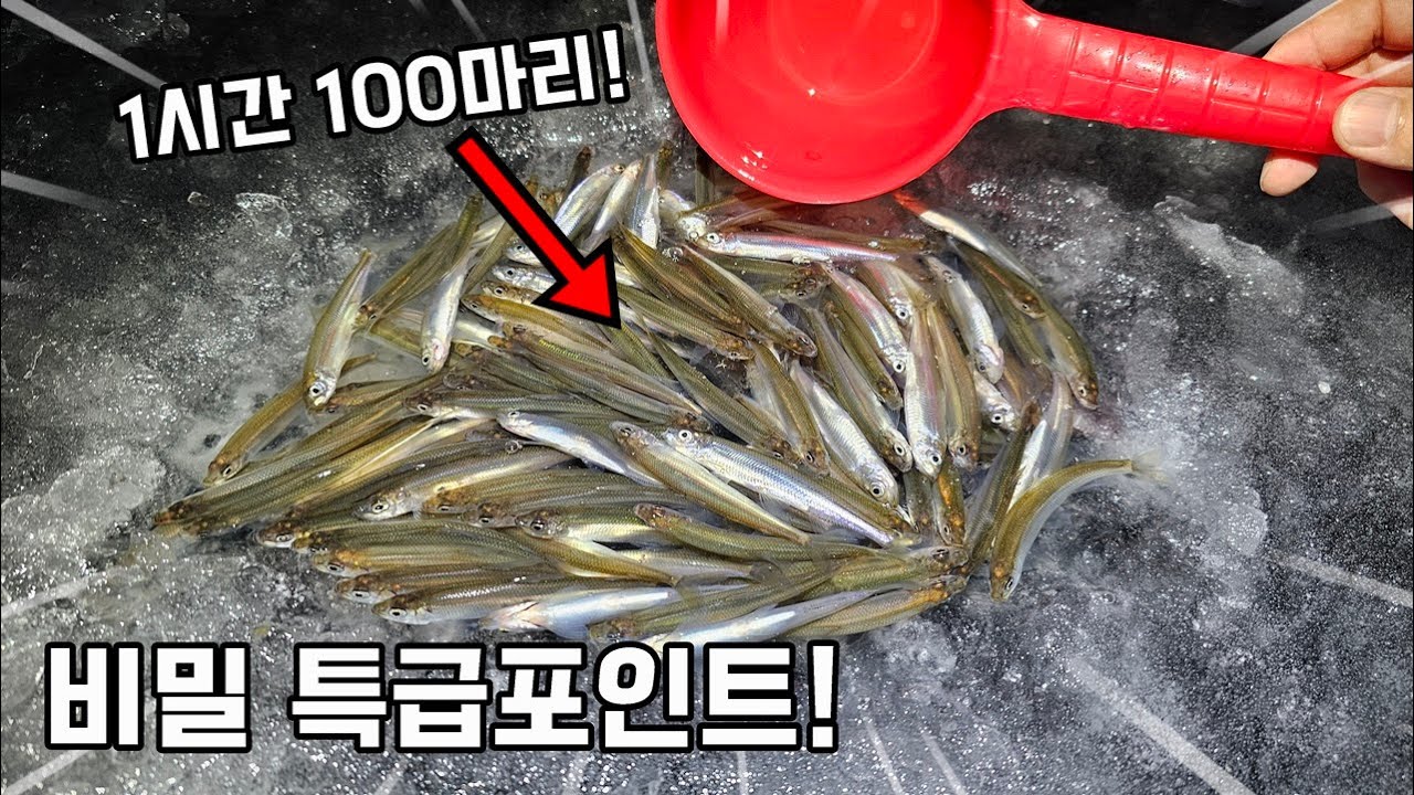 춘천 토박이만 안다는 비밀포인트! 넣으면 대물 빙어만 나오네요..ㄷㄷ