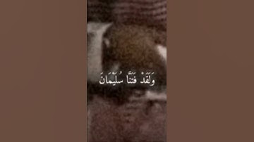 ما تيسر من القرآن آيات القرآن الكريم #قران_كريم #اكسبلور #اذكار #اذكارالصباح #دبي #quran