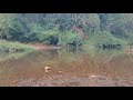  river riverside beautifulbeautykerala viral youtube youtuberwater