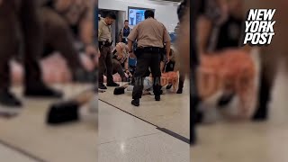 WATCH: 2 women arrested after wild brawl over missed boarding at Miami airport | New York Post