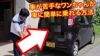 犬のしつけ　ワンちゃんの車への乗せ方 トレーニング 車でお出かけ