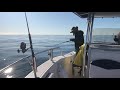 2017 12 05 Santa Cruz Rockfish