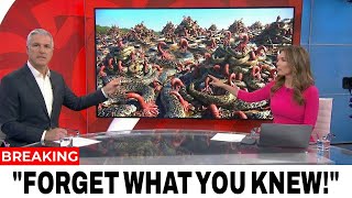 LEAKED Footage From Florida’s Swamps Reveals a Horrifying Aftermath Nobody Saw Coming
