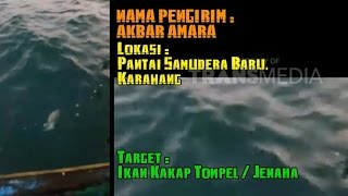 MANCING MANIA 8 NOV 2015 REKOR MANCING MANIA BLACK BASS #2  Part 3