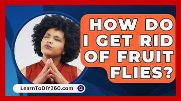 How Do I Get Rid of Fruit Flies? - LearnToDIY360.com