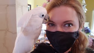 I am Visiting a Parrot Rescue | Parrot Rescue Live