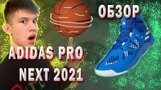 Купил новые кроссовки // adidas PRO Next 2021