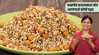 कडधान्ये चिकट न होता, बुरशी न येता कडधान्याला मोड कसे आणायचे | How to sprout beans