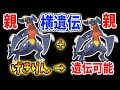 ポケモン ダイパリメイク ポケモン厳選に関する重要要素 横遺伝 実は親同士でも遺伝させる方法があります 遺伝技 タマゴ技 厳選 メタモン 攻略 ブリリアントダイヤモンド シャイニングパール BDSP ポケモン ダイパリメイク ポケモン厳選に関する重要要素 横遺伝 実は親同士でも遺伝させる方法があります 遺伝技 タマゴ技 厳選 メタモン 攻略 ブリリアントダイヤモンド シャイニングパール BDSP
