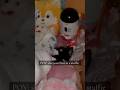 Squishmallow live version #cat #funnyanimal #squishmallows