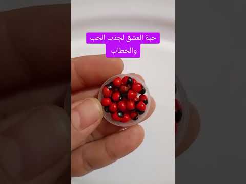 وصفة خطيرة لأول مرة على اليوتيب حبة العشق لجذب الحب و الخطاب يوليو شادين النوبة عندك في باب البيت