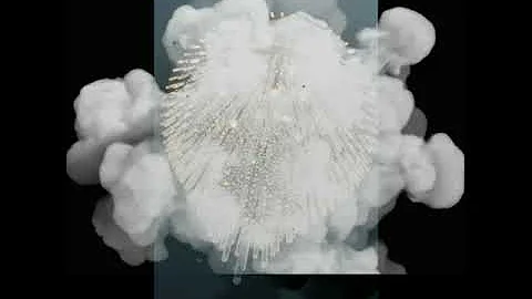 Michelle Honeycutt Exquisite Designs- Leaked Befor...