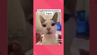 El Gato Francés