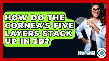 How Do The Cornea