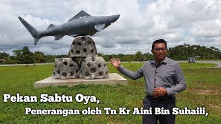 Grey Shark & Reef Balls Monument/Landmark - Pekan Sabtu Oya, Penerangan oleh Tn Kr Aini Bin Suhaili,