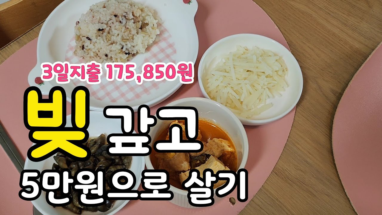 나 빚갚고 5만원 남았다!!! 그래도 남편 지갑ㅇㅣ 있어 좋네~  [ 4인가족 가계부 브이로그 #6월5주]