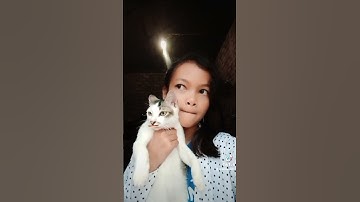 Tik tok lucu