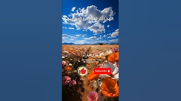 #اية قال رب اني ظلمت نفسى #للقارئ الشيخ عبد الباسط عبد الصمد من اجمل التلاوات