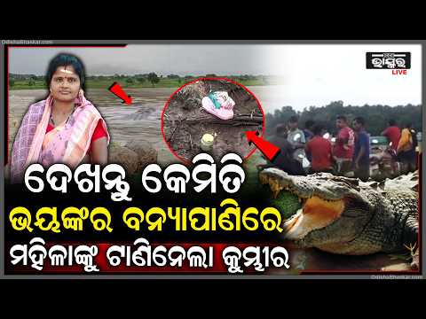 ପଟ୍ଟାମୁଣ୍ଡାଇରେ ଚାଞ୍ଚଲ୍ୟ,ନଦୀକୂଳରେ ପଡ଼ିରହିଲା ବାଲ୍ଟି  ଚପଲ... ମହିଳାଙ୍କୁ କୁମ୍ଭୀର ଟାଣି ନେଇଥିବା ସନ୍ଦେହ...
