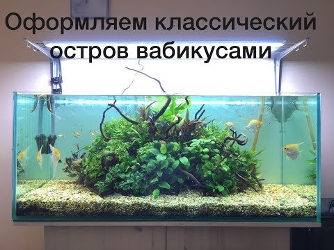 the island aquascape maintenance and sand swap by adrian s aquatics