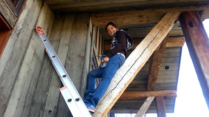 Woodpecker Prevention: Stopping Rodent, Bat, and Insect Infestation