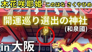 ⚠️衝撃を受けた神社❗強力な木花咲耶姫さまが、大阪に鎮座 大阪府 泉佐野市 奈加美神社