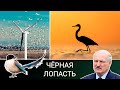 Ветряки убивают птиц и вызывают рак / Газ лучше ветра / Литва теряет белорусские грузы