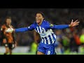 Joo pedro 2024 all goals assists  skills for brighton  what a player