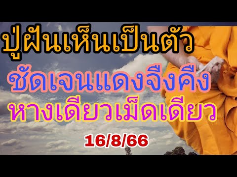 ปู่มีเซ้นฝันเห็นเป็นตัวแดงจืงคืงปู่เพชรให้หางเดียวเม็ดเดียว16/8/66