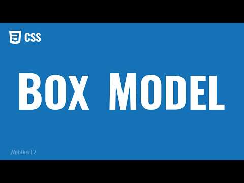 CSS Box Model Explained: Content, Padding, Border and Margin