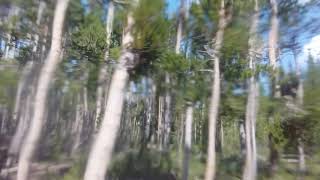 Flyby trees