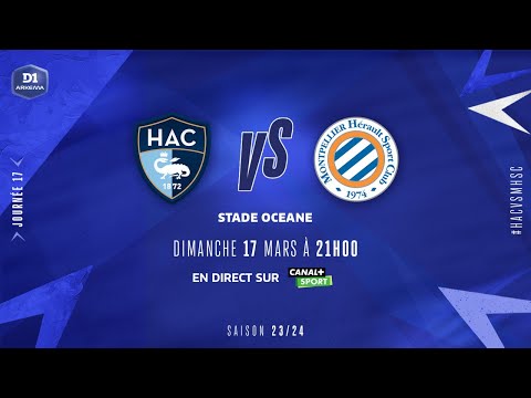J17 | Le Havre AC - Montpellier HSC (3-3), le résumé | D1 Arkema I FFF 2023-2024
