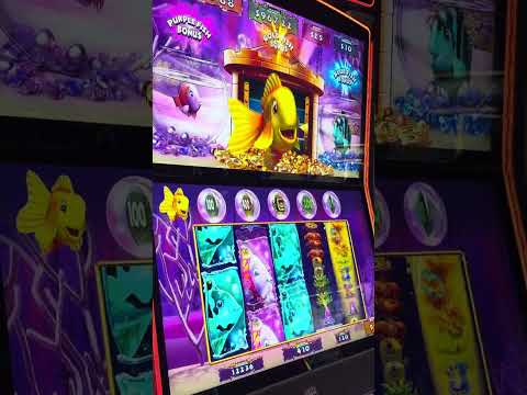 Copa Casino Mexicali 2016