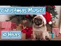 Christmas Music to Relax Dogs! Classic Away in a Manger, Jingle Bells, Deck the Halls, Feliz Navidad