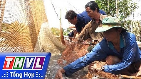 THVL | Ký sự truyền hình: Về Vàm Nao mùa nước