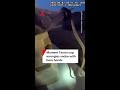 Moment Texan cop wrangles snake with bare hands
