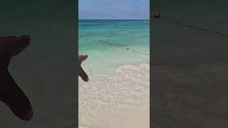 Caribe Libre De Sargazo Así Luce Cancún Hoy