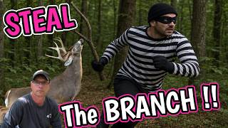 Want to move bucks into your hunting area...Steal the Branch