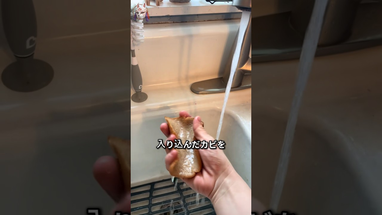 洗っても切っても、カビは消えない