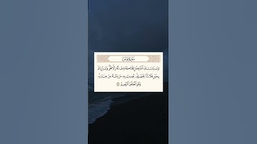 سورة يونس • SURAH YUNUS • أكتب شئ تؤجر عليه