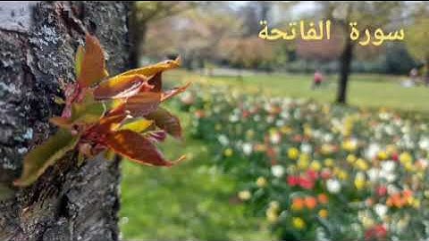 سورة الفاتحة مكررة بصوت رائع - Sourat Al Baqara