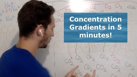 Concentration Gradients in 5 Minutes!