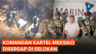 Detik-detik Komandan Kartel Narkoba Jalisco Ditangkap Saat Sembunyi di Selokan