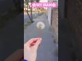 ۵ دسامبر ۲۰۲۵#hayedeh# mahasty # sf9# super m # bts# Leyla forouhar # txt# straykids